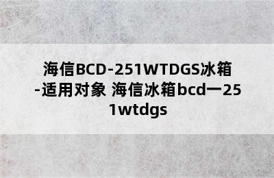 海信BCD-251WTDGS冰箱-适用对象 海信冰箱bcd一251wtdgs